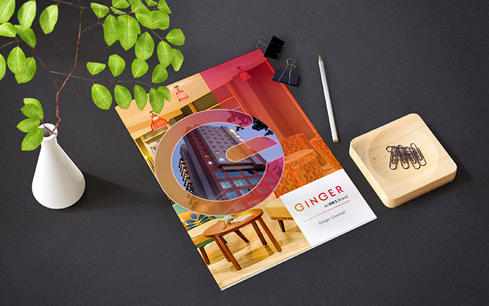 Ginger - Water Communications