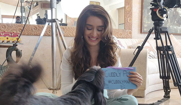 ‘Adopt, not shop’: The Tails of Boo-Boo & Cuddly Poo reveals plight of stray animals - Water Communications